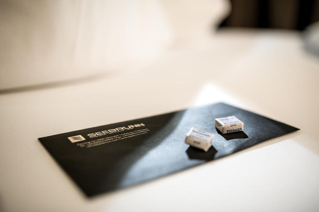 Hotel Seebrunn Am Wallersee Henndorf am Wallersee Extérieur photo